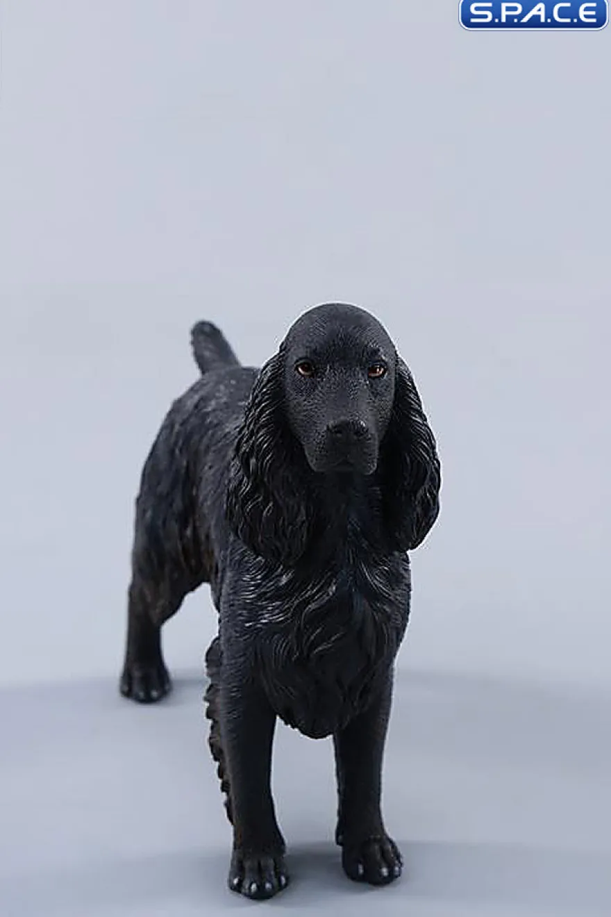 1/6 Scale Cocker Spaniel Version F