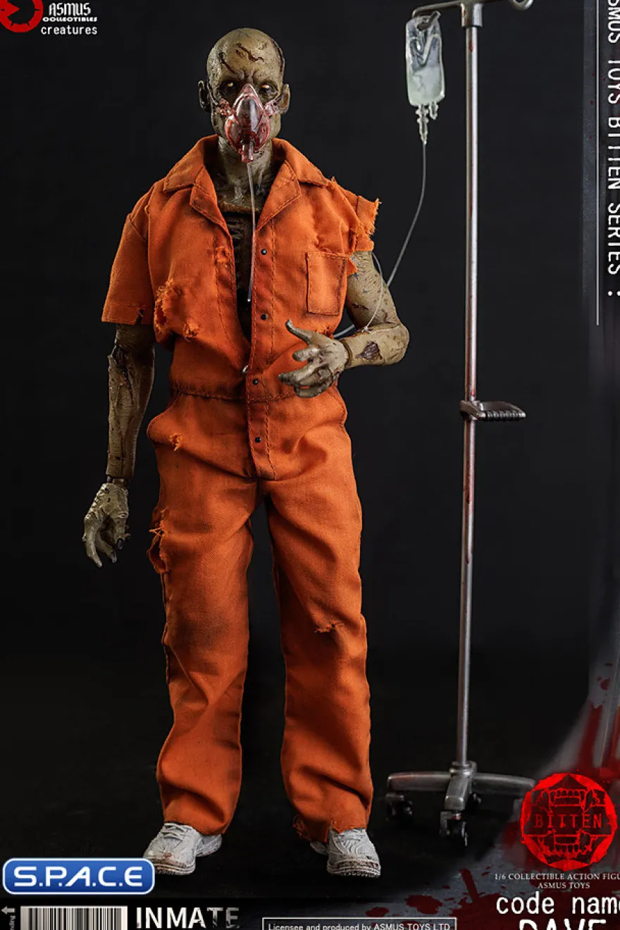 1/6 Scale Code Name Dave
