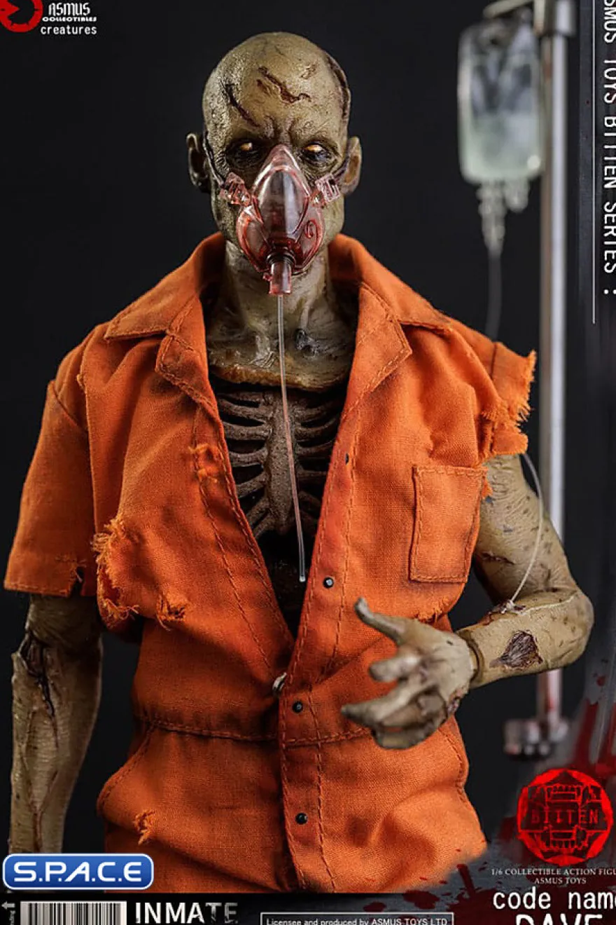 1/6 Scale Code Name Dave