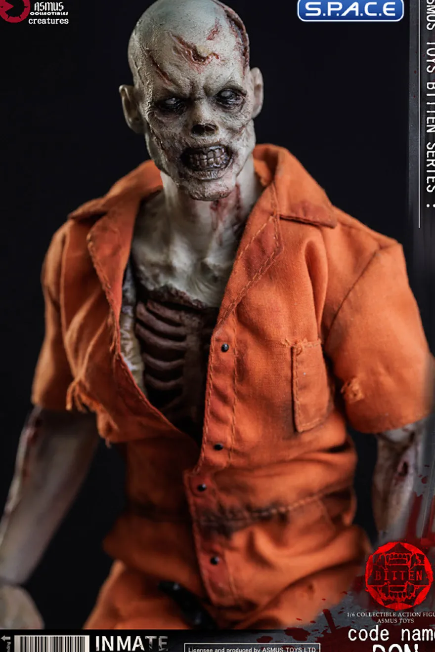 1/6 Scale Code Name Don
