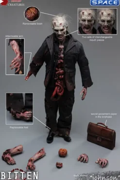1/6 Scale Code Name Johnson