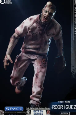 1/6 Scale Code Name Rodriguez