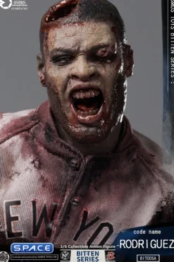 1/6 Scale Code Name Rodriguez