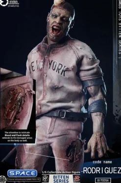 1/6 Scale Code Name Rodriguez