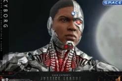1/6 Scale Cyborg TV Masterpiece TMS057