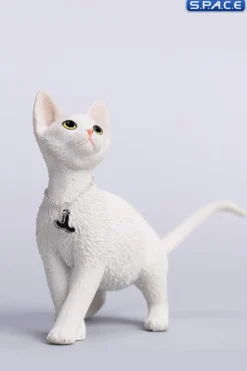 1/6 Scale Devon Rex Cat