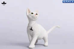 1/6 Scale Devon Rex Cat