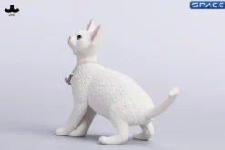 1/6 Scale Devon Rex Cat