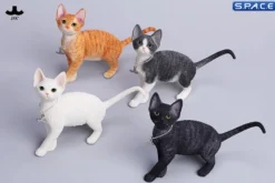 1/6 Scale Devon Rex Cat