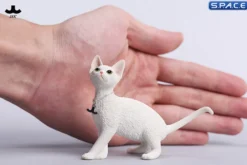 1/6 Scale Devon Rex Cat