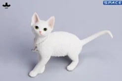 1/6 Scale Devon Rex Cat