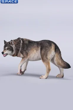 1/6 Scale Dire Wolf Version A