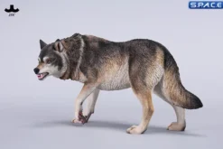 1/6 Scale Dire Wolf Version A