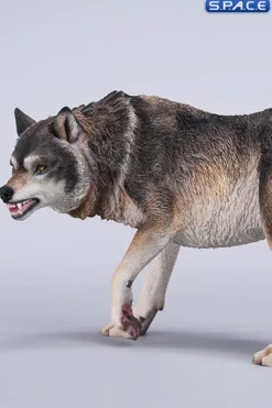 1/6 Scale Dire Wolf Version A