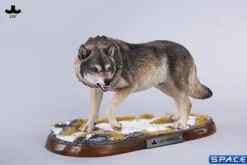1/6 Scale Dire Wolf Version A