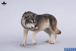 1/6 Scale Dire Wolf Version A