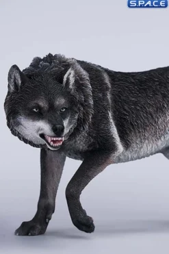 1/6 Scale Dire Wolf Version B