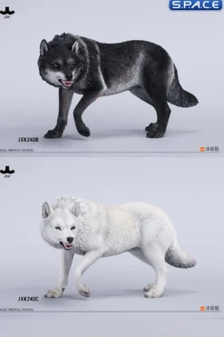 1/6 Scale Dire Wolf Version B