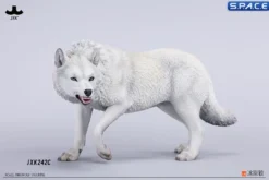 1/6 Scale Dire Wolf Version C