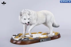 1/6 Scale Dire Wolf Version C