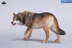 1/6 Scale Dire Wolf Version D