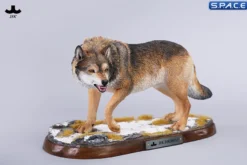1/6 Scale Dire Wolf Version D