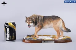 1/6 Scale Dire Wolf Version D