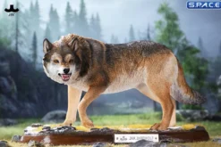 1/6 Scale Dire Wolf Version D