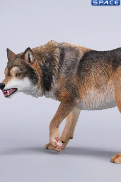 1/6 Scale Dire Wolf Version D