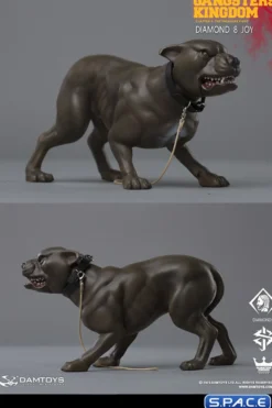 1/6 Scale Dog of Joy - Diamond 8