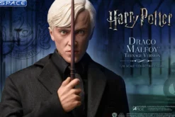 1/6 Scale Draco Malfoy Teenage