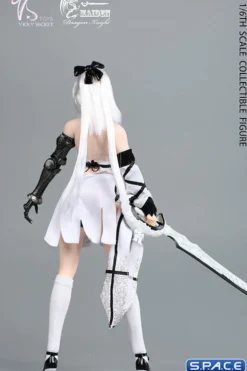 1/6 Scale Dragon Knight Maiden Clothing Set