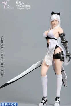 1/6 Scale Dragon Knight Maiden Clothing Set