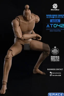 1/6 Scale Durable Body AT042