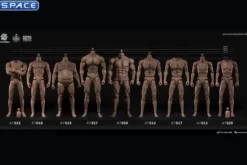 1/6 Scale Durable Male Body AT030