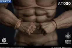 1/6 Scale Durable Male Body AT030
