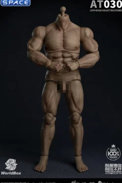1/6 Scale Durable Male Body AT030