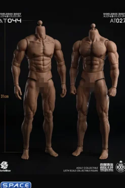 1/6 Scale Durable Male Body AT044