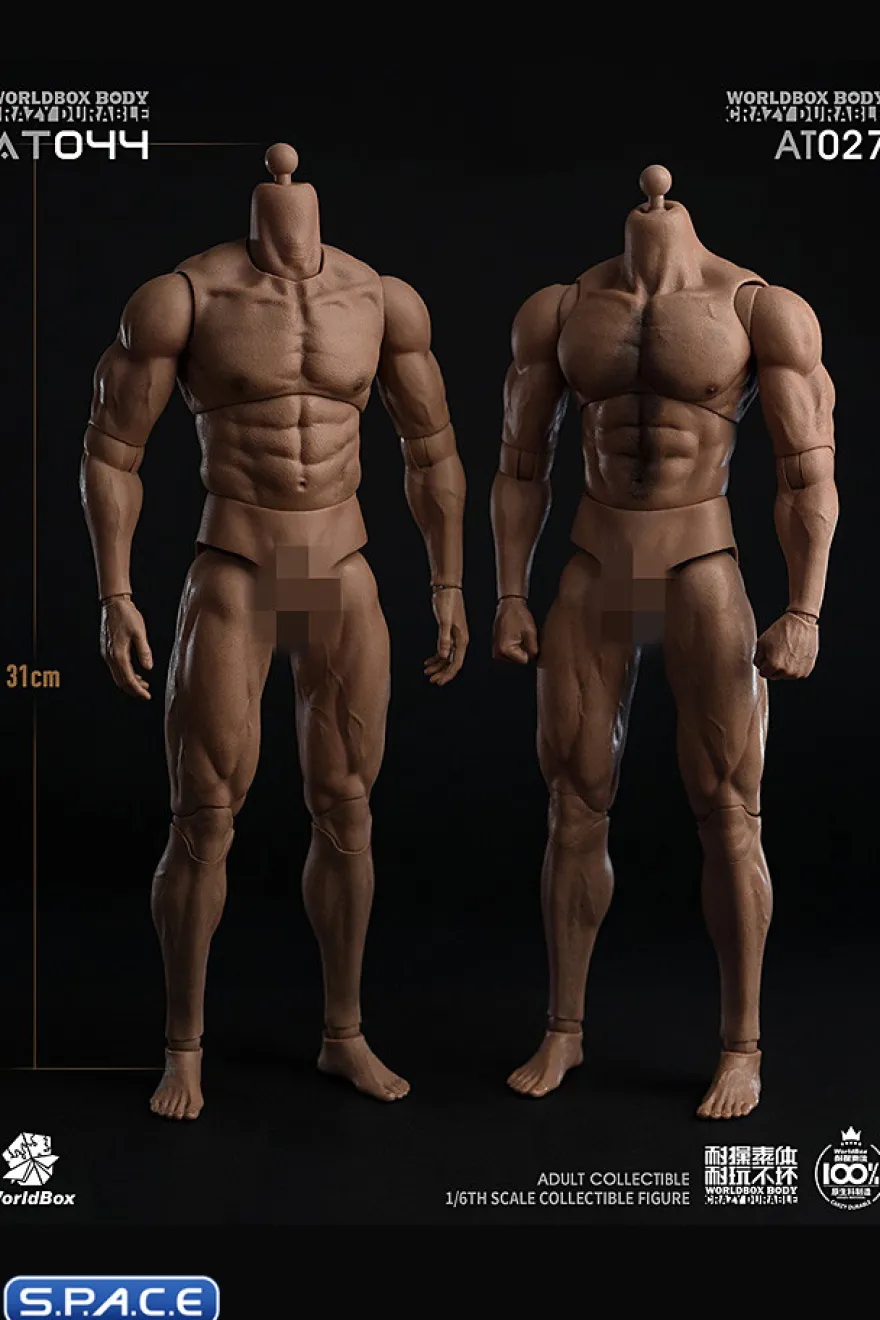 1/6 Scale Durable Male Body AT044