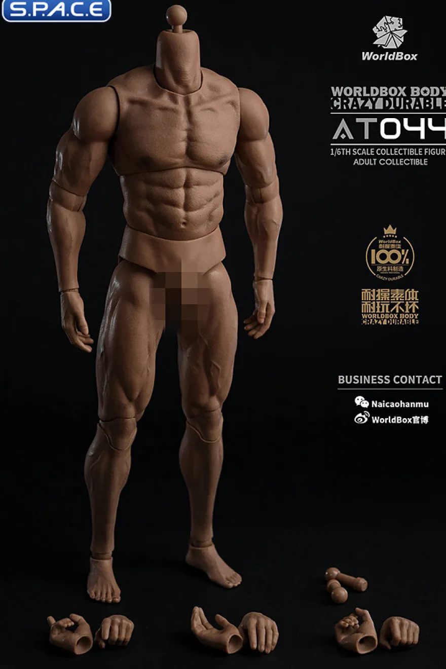 1/6 Scale Durable Male Body AT044