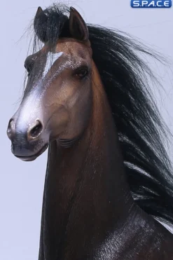 1/6 Scale Duweime Horse 2.0 Version 5