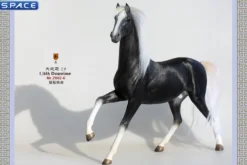 1/6 Scale Duweime Horse 2.0 Version 6