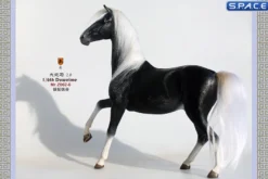 1/6 Scale Duweime Horse 2.0 Version 6