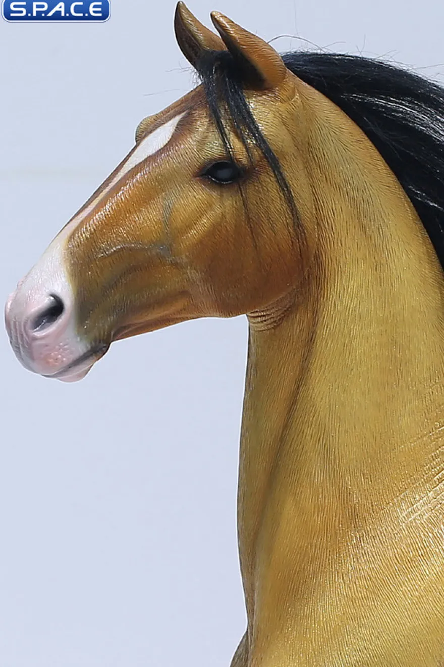1/6 Scale Duweime Horse 2.0 Version 2