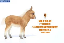 1/6 Scale Dwarf Donkey Foal