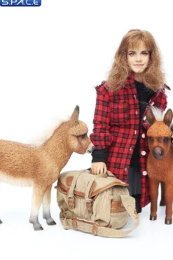 1/6 Scale Dwarf Donkey Foal