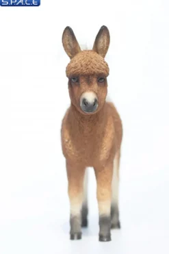 1/6 Scale Dwarf Donkey Foal