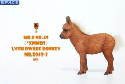 1/6 Scale Dwarf Donkey Foal