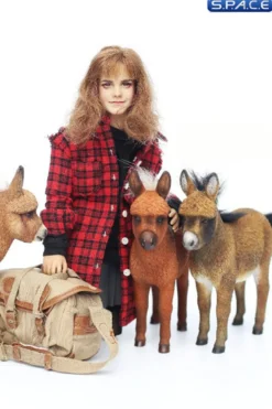 1/6 Scale Dwarf Donkey Foal