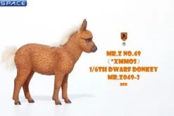 1/6 Scale Dwarf Donkey Foal
